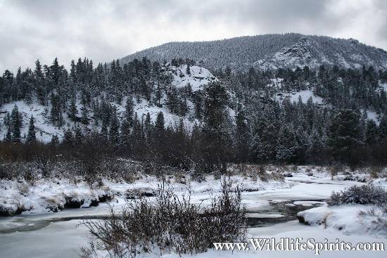 Click Picture to send as an  E-PostCard 57k 550x367